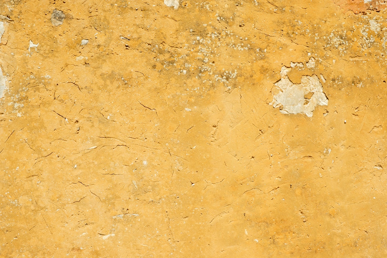 Plaster Helpful Tips Expert Techniques & Maintenance Woemmel