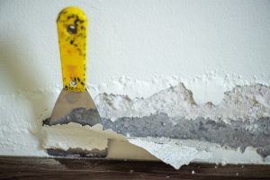 Plaster Repair St. Louis | Expert Plastering Services